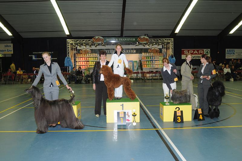 kerstshow 2008 015.jpg